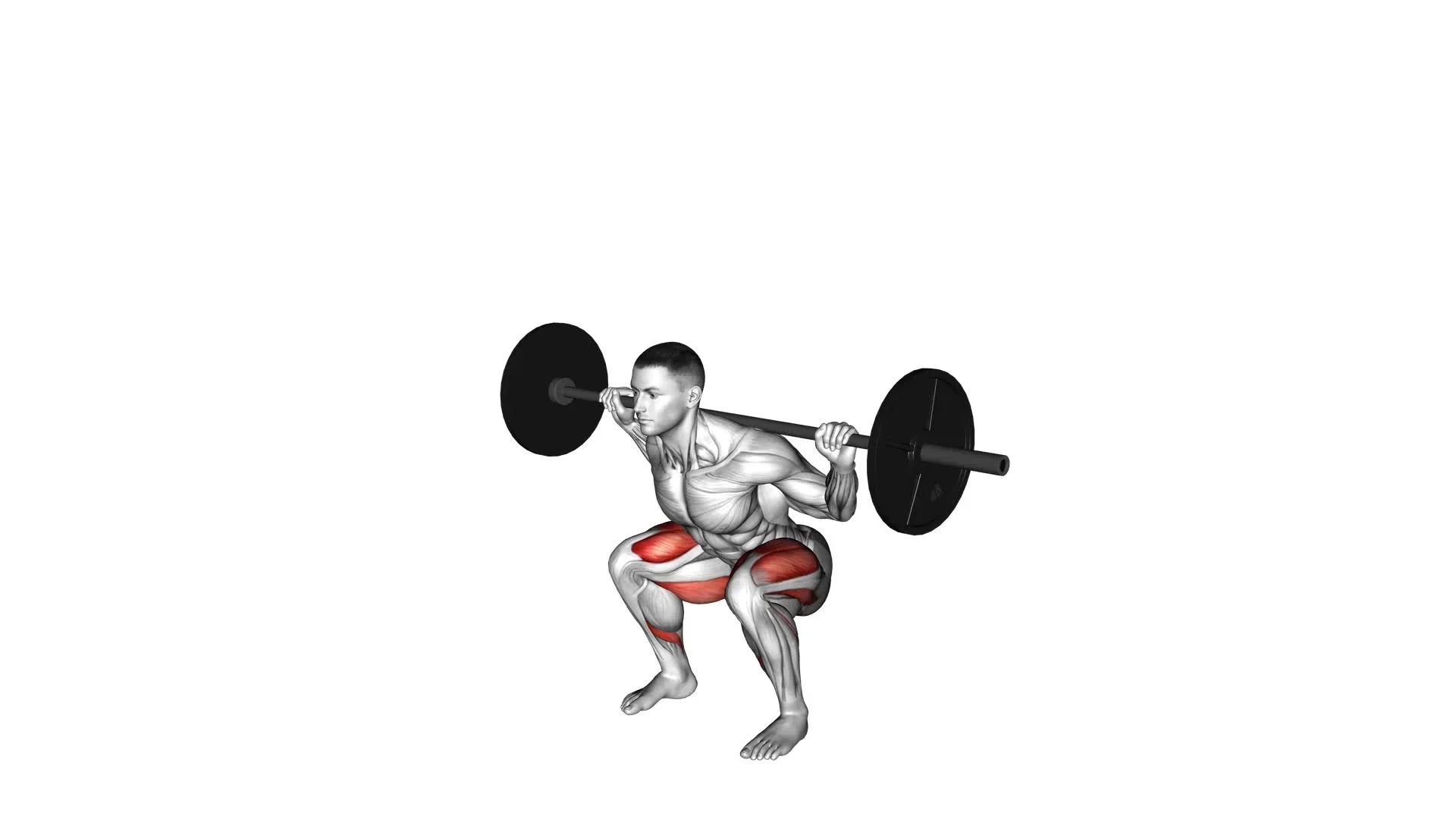 Squat complet à la barre