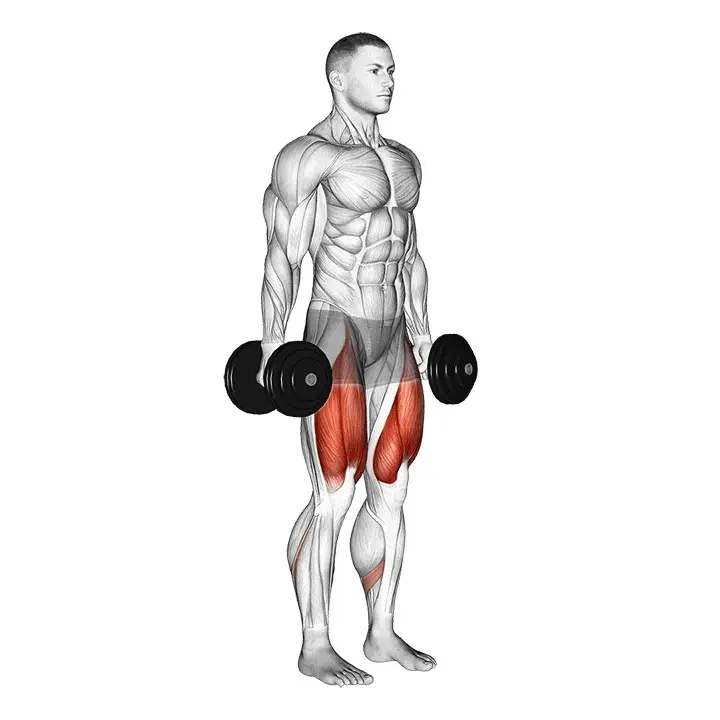 Squat à la barre