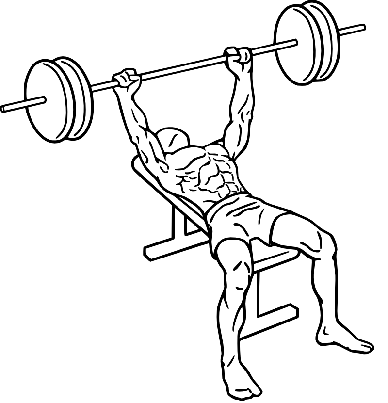 Développé couché
