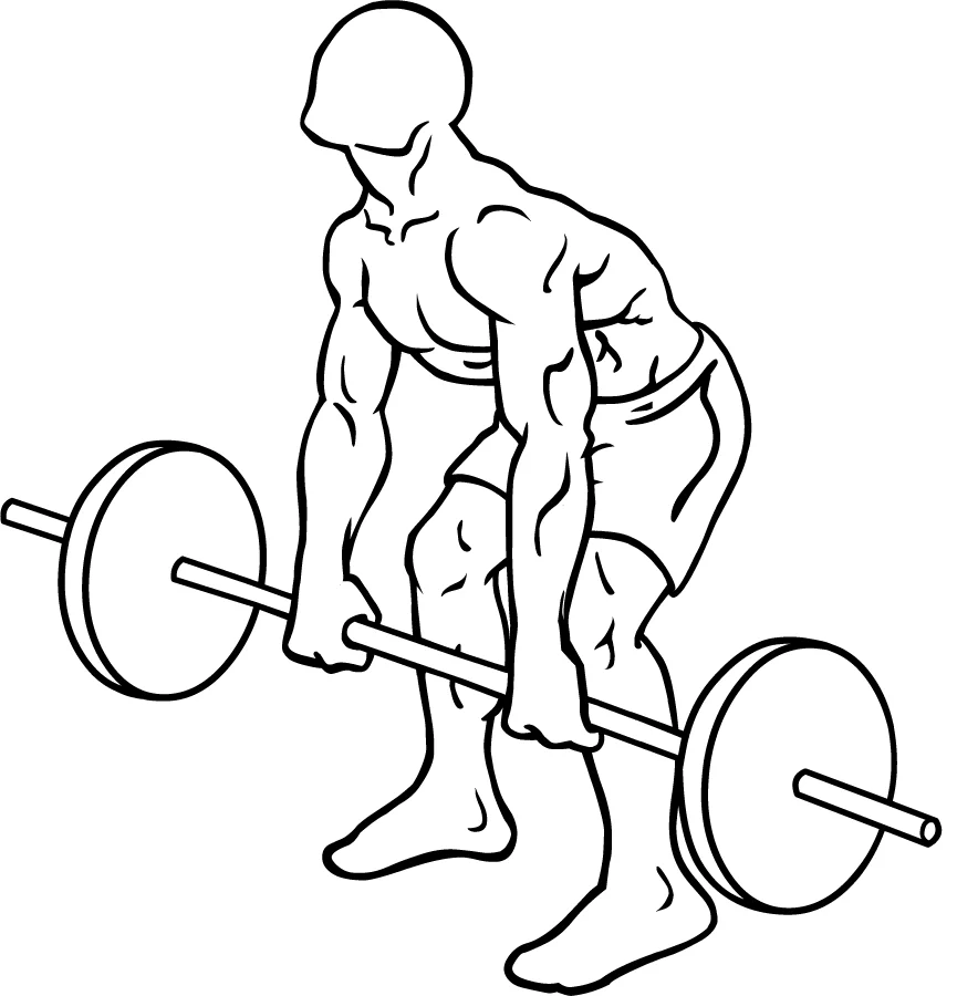 Rowing penché