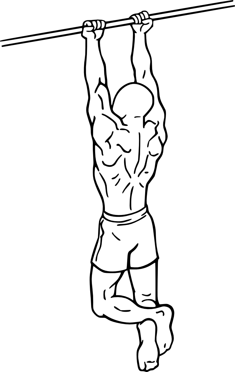 Tractions supination