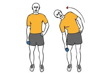Flexion latérale