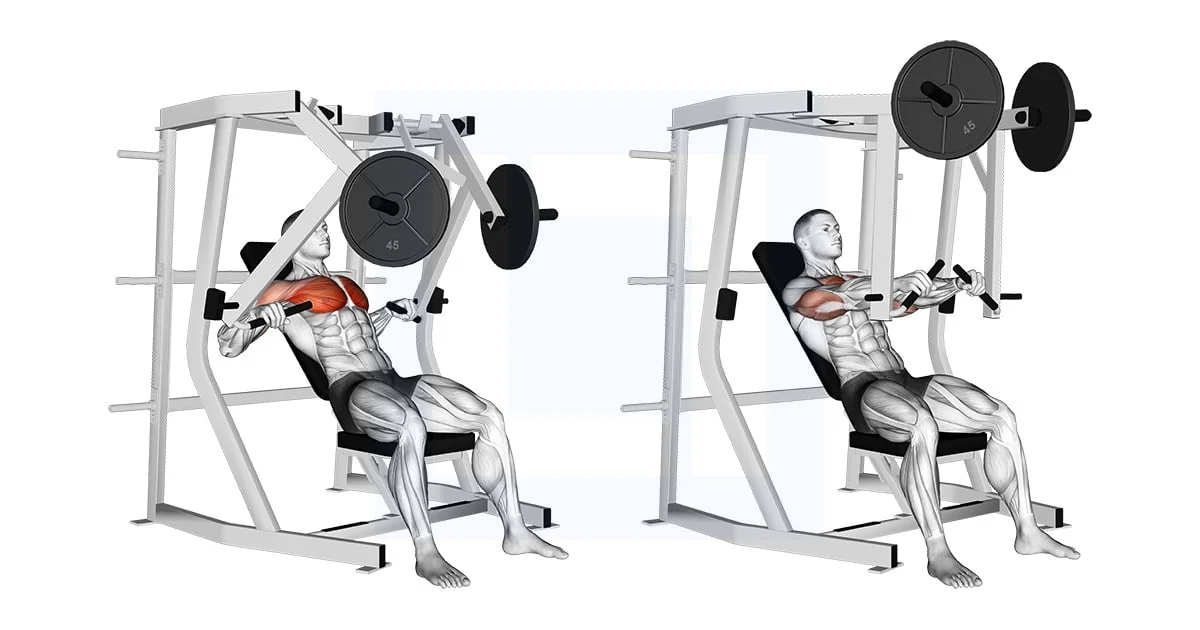 Développé pectoraux décliné Hammer Strength