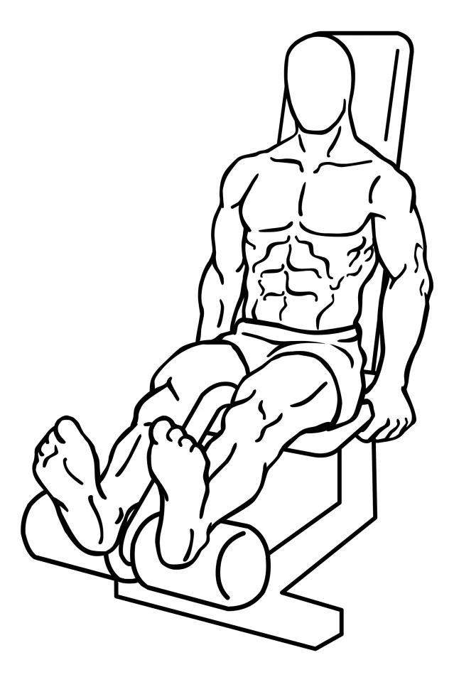 Leg curl assis