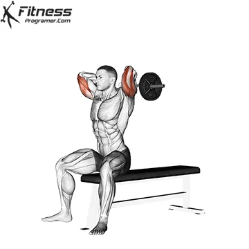 Extension triceps au-dessus de la tête