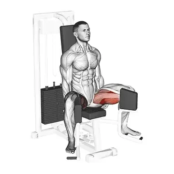 Adduction de hanche assise