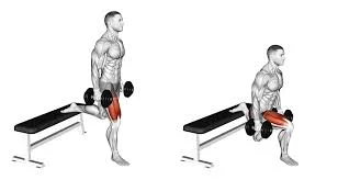 Squats bulgares aux haltères