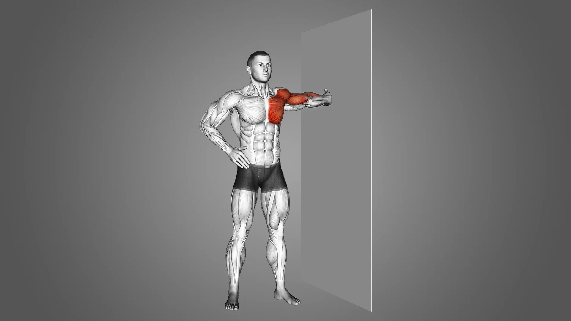 Étirement biceps debout gauche