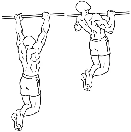 Tractions