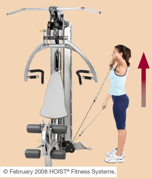 Rowing menton au multipress