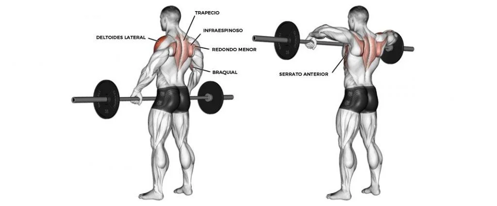 Rowing menton barre EZ